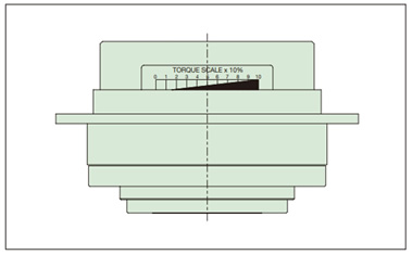 टॉर्क स्केल