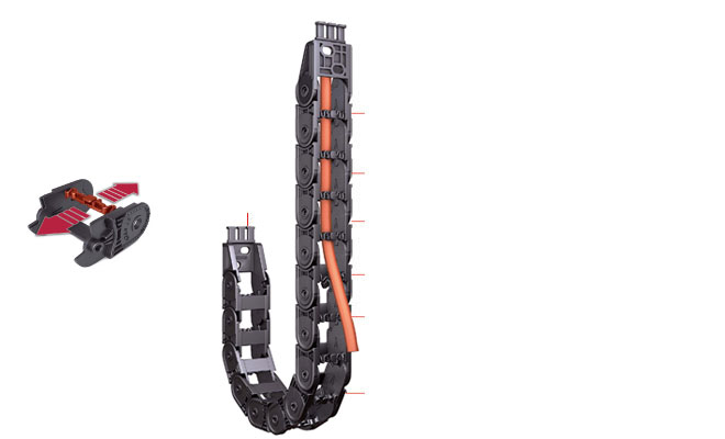 विशेषताएँ