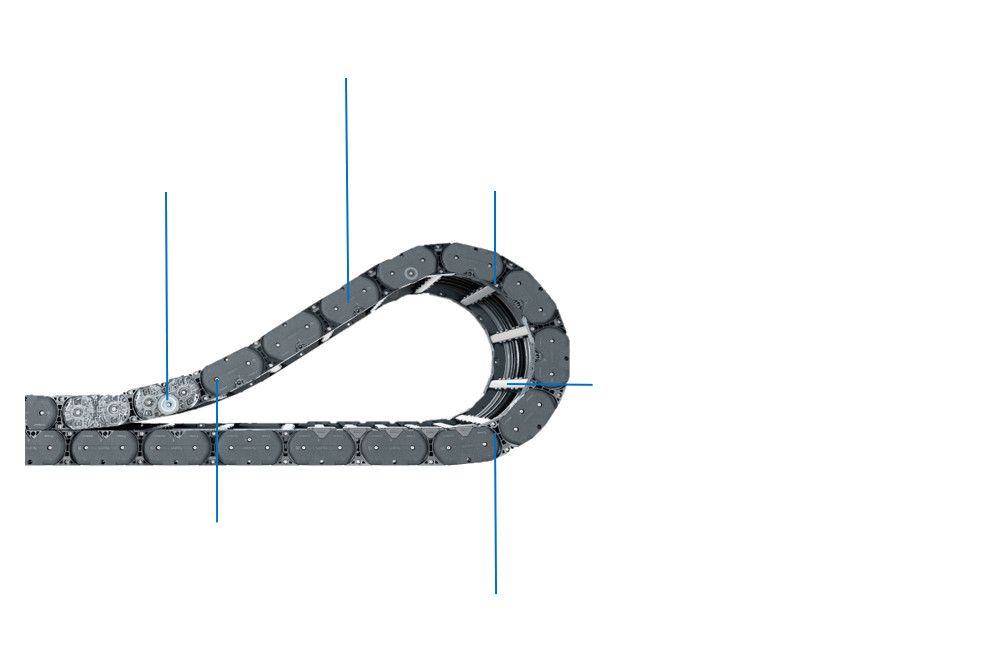 विशेषताएँ