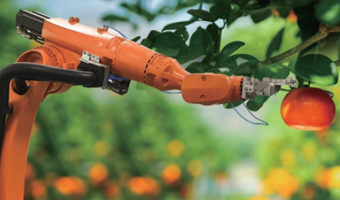 फसल कटाई रोबोट