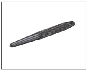 विशेष पंच