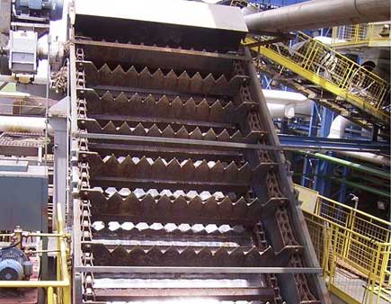 बेंत/खोई वाहक श्रृंखला