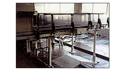 गोद लेने के एक उदाहरण की तस्वीर