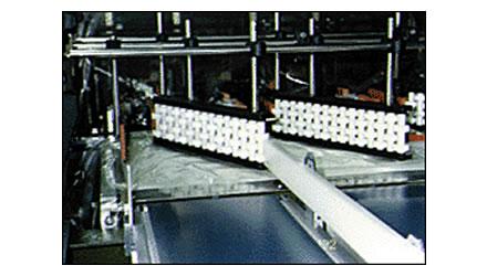 गोद लेने के एक उदाहरण की तस्वीर