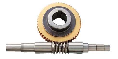 ट्रॉइडल वर्म