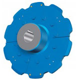 रिंग प्रतिस्थापन दांत प्रकार