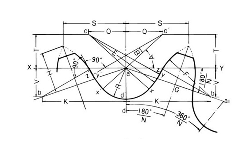 दांत का आकार